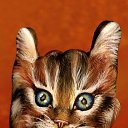 ���� �������, ������, 41 ��� - ��������� 27 ������� 2009 � ������ ���������� ����-���