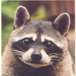 ���� ������, �����������, 54 ���� - ��������� 2 ������� 2013