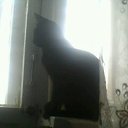 ���� ������, ����������, 45 ��� - ��������� 8 ����� 2012 � ������ ���� ������