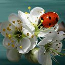 ���� �����, ������������, 56 ��� - ��������� 13 ������ 2013 � ������ ������ ��������