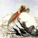 ���� Amindomano, ����� - ��������� 10 ������� 2010 � ������ ������