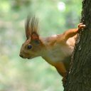 ���� ����, ��������, 37 ��� - ��������� 28 ������ 2009 � ������ ������� ������