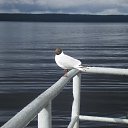  , , 62  -  29  2011    -