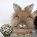 ���� Red, ������� - ��������� 16 ������ 2011 � ������ ���������������� :)�