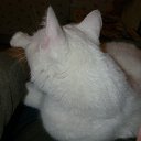 ���� ������, �����-��������� - ��������� 11 ������ 2010 � ������ ���� �...� ��������:)�