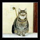 ���� ����, ������, 48 ��� - ��������� 8 ���� 2011 � ������ ����