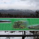       -  ,    -    .           50-  .       .