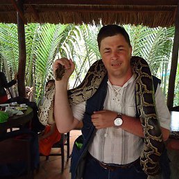 Dmitry, �����������, 56 ���