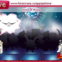 ���� ����, ���������, 24 ���� - ��������� 24 ������ 2010 � ������ �PetLove�