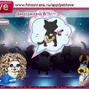 ���� �, ������, 40 ��� - ��������� 11 ������ 2011 � ������ �PetLove�