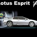 ���� ����, ������, 39 ��� - ��������� 4 ��� 2010 � ������ ������ۻ