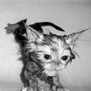 ���� Aleksandr, �����, 71 ��� - ��������� 4 ������� 2012 � ������ �������