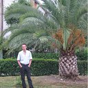 ���� ������, ������, 61 ��� - ��������� 1 ������� 2011