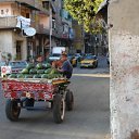 Aleksandrija �� ������� ���� ����������