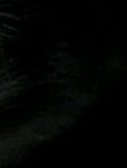  , , 29  -  9  2011    