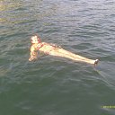 ���� �������, ���������, 59 ��� - ��������� 20 �������� 2012 � ������ ���� ����������