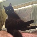 ���� ������, ������, 63 ���� - ��������� 12 ���� 2012 � ������ ���� ����-�����