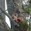 ���� ���� (� �������), ��������, 64 ���� - ��������� 9 ���� 2011