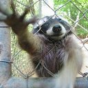 ���� ���, ������� ���� - ��������� 9 ������ 2011 � ������ �� � ��� ������� �����