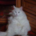 ���� �������, �����-���������, 61 ��� - ��������� 12 ������ 2011 � ������ ���� �����