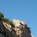 ���� Roman81, ������, 44 ���� - ��������� 8 �������� 2009 � ������ �������