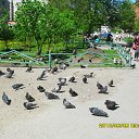 ���� �����, �����, 34 ���� - ��������� 14 ������� 2010 � ������ ���� ����Ļ