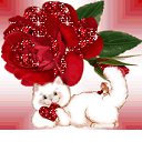 ���� �������, �����-���������, 61 ��� - ��������� 9 ������ 2011 � ������ ���� �����