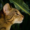 ���� ������, �������, 29 ��� - ��������� 24 ������� 2010 � ������ ���� ����