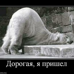 ���� ������, ��������, 61 ��� - ��������� 7 ������ 2011