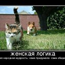 ���� �����, ������ - ��������� 26 ������ 2012 � ������ �����������