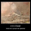 ���� ������, ��������, 58 ��� - ��������� 29 ���� 2013