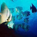 ���� ����� - ���������� ��������!!!, �����������, 56 ��� - ��������� 12 ������ 2010 � ������ ������