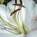 ���� ������, ������ - ��������� 24 ���� 2013 � ������ ���� ����������