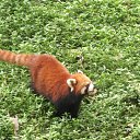 ���� �����, �����, 53 ���� - ��������� 27 ���� 2011 � ������ ������