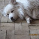 ���� Serega, �����-���������, 34 ���� - ��������� 24 ����� 2011 � ������ ������ � ��������