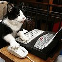 ���� Angely, ������� - ��������� 2 ������ 2011 � ������ ���� ����������