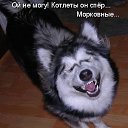 ���� �������, ���������, 48 ��� - ��������� 31 ������� 2010 � ������ �)))�