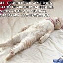 ���� T�����, ������, 63 ���� - ��������� 14 ���� 2012 � ������ ���� ����������