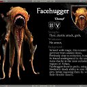 ���� �����, �����-���������, 26 ��� - ��������� 23 ������� 2012 � ������ ������ 2�