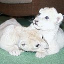 ��� ��������,�� ���,��� �� ��� ��������,������ ���������� �� ������� ������ ����,��� ����λ