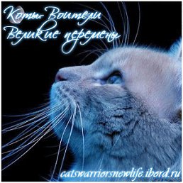 ���� ���, ������, 26 ��� - ��������� 24 ������ 2012