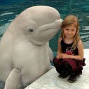 ���� Liviu, �������, 26 ��� - ��������� 15 ������� 2012 � ������ ���� ����������