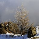 ���� ������, �������, 55 ��� - ��������� 25 ������ 2011 � ������ �������-�������. 2011�