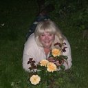 ���� �������, ������, 50 ��� - ��������� 3 ���� 2012 � ������ ���� ����������