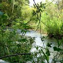 ���� �������, ��������, 37 ��� - ��������� 2 ������ 2009 � ������ ������ � �����