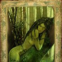 , , 33  -  21  2010    : THE WiTCHER