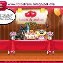  , , 40  -  11  2011   PetLove