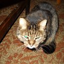  Tatiana, -, 61  -  26  2012    