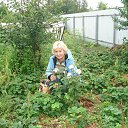 ���� �������, ������ ��������, 71 ��� - ��������� 27 ���� 2013 � ������ ���� ����������