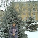 ���� ������ ��������, ��������, 56 ��� - ��������� 15 ���� 2013 � ������ ���� ����������